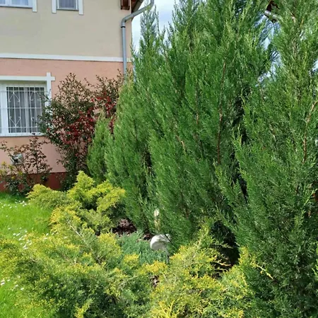 Apartamento Edit Ház *